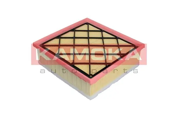 Air Filter F222201