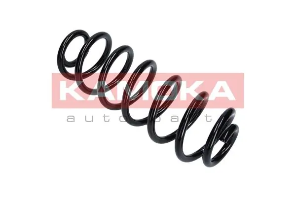 Suspension Spring 2120320