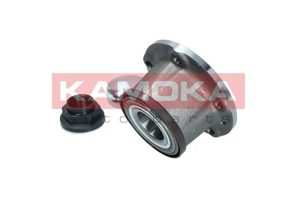 Wheel Bearing Kit 5500215