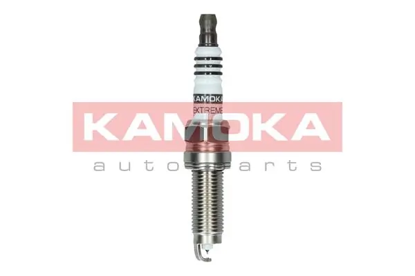 Spark Plug 7100009
