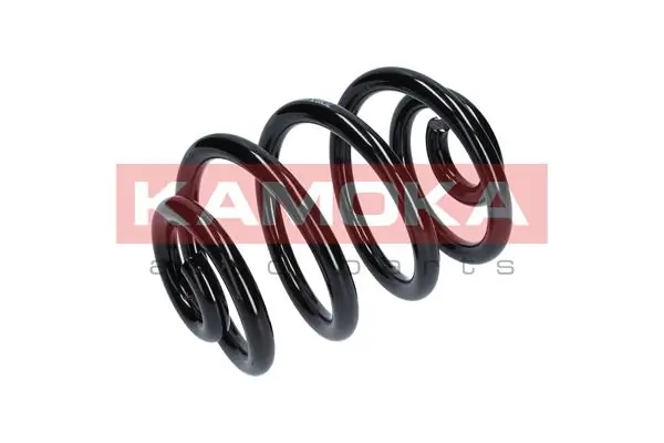 Suspension Spring 2120075