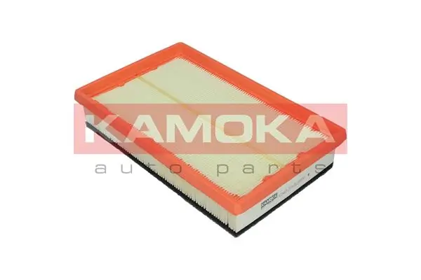 Air Filter F224601