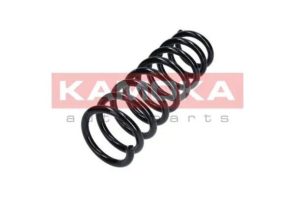 Suspension Spring 2120276