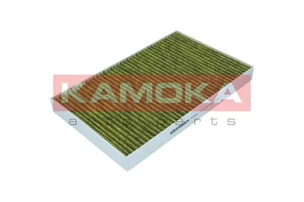 Filter, cabin air 6080004