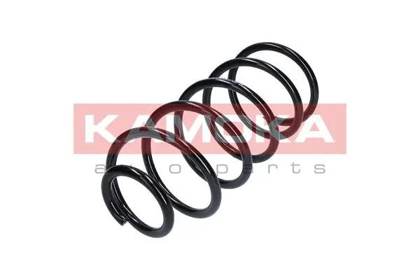 Suspension Spring 2110079