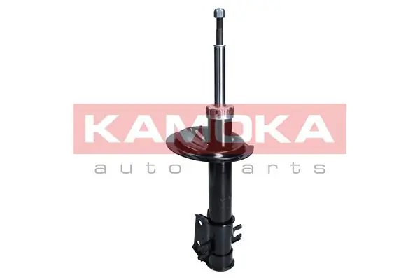 Shock Absorber 2001043