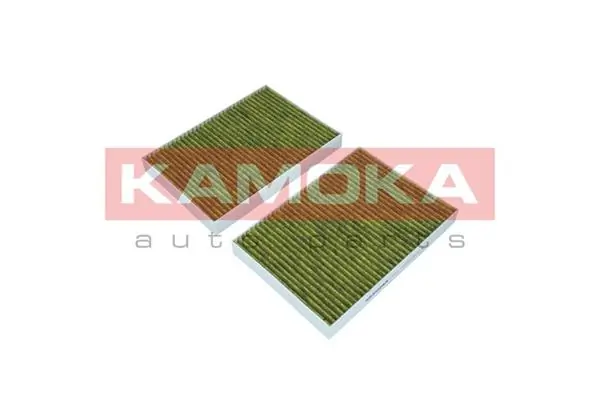 Filter, cabin air 6080042