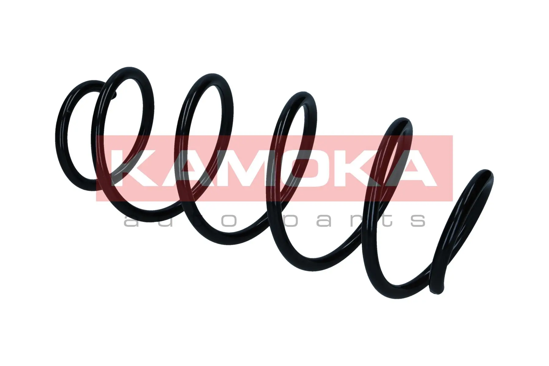 Suspension Spring 2110455