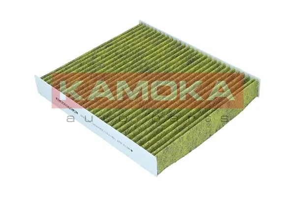 Filter, cabin air 6080135