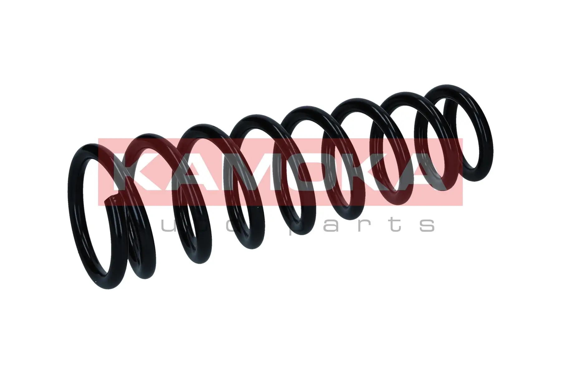 Suspension Spring 2110608