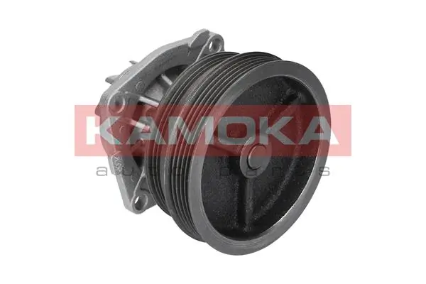 Water Pump, engine cooling T0112