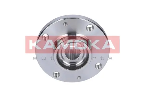 Wheel Hub 5500114