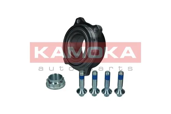 Wheel Bearing Kit 5500305