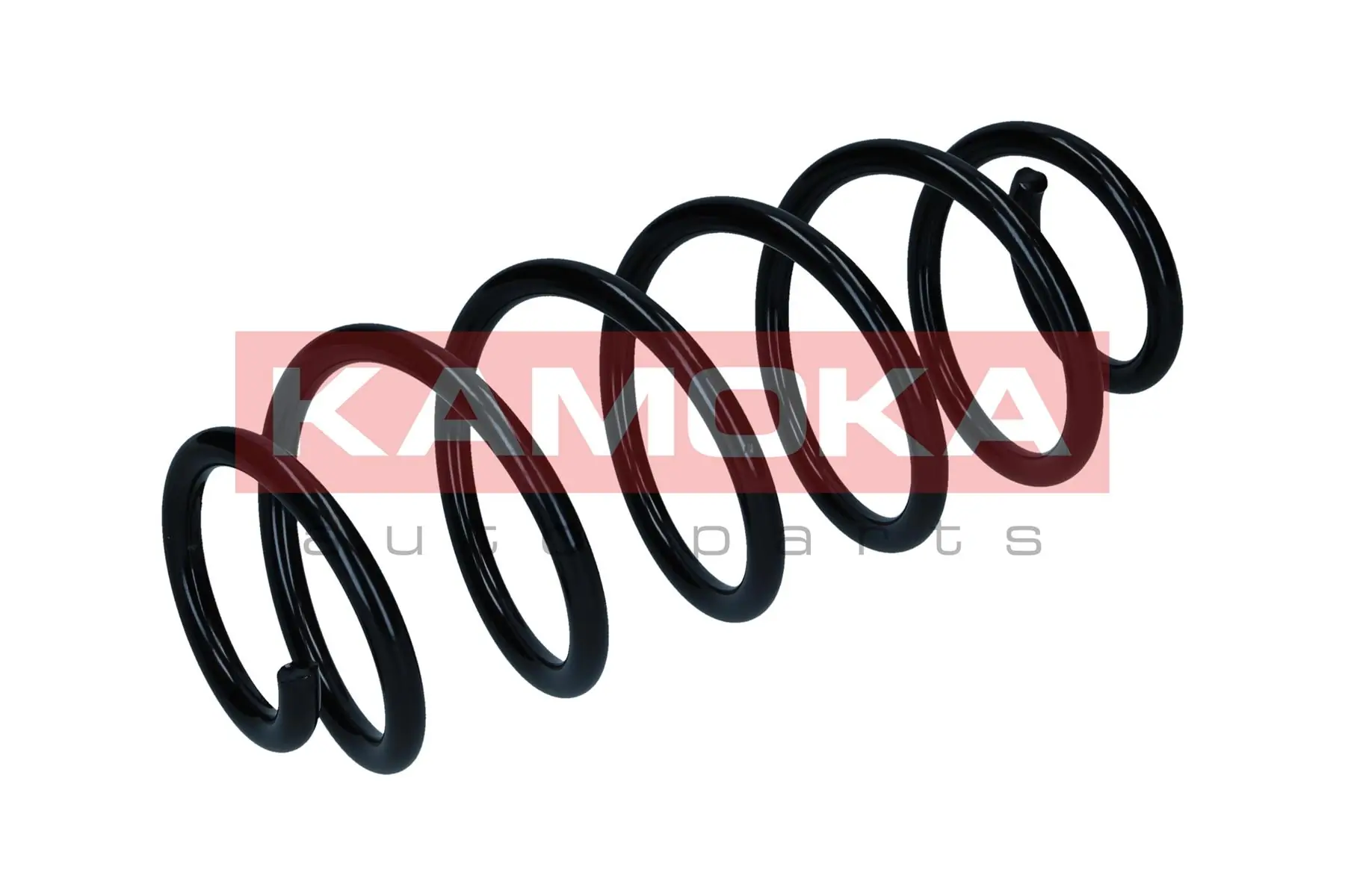 Suspension Spring 2120395