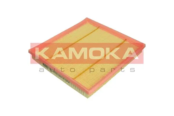 Air Filter F243501