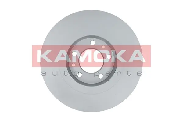 Brake Disc 1031059