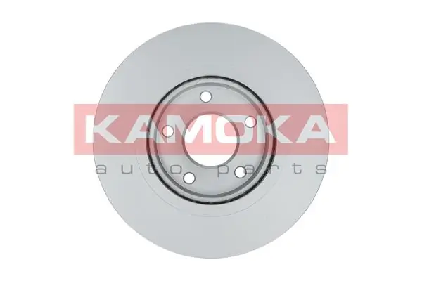 Brake Disc 1031047