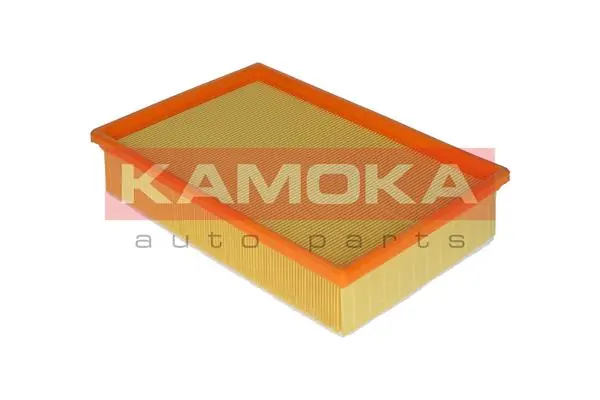 Air Filter F215901