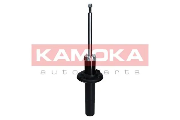 Shock Absorber 2000648