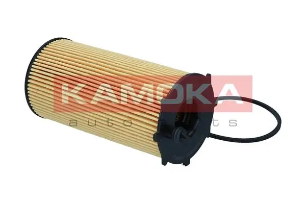 Oil Filter F126001