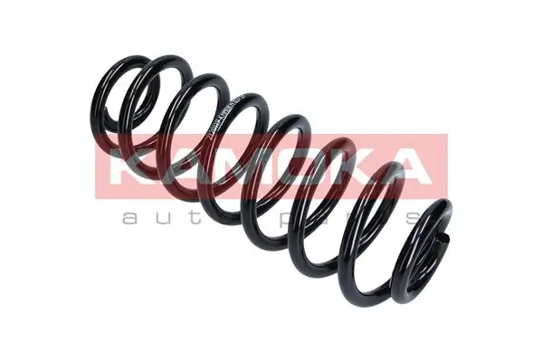 Suspension Spring 2120119