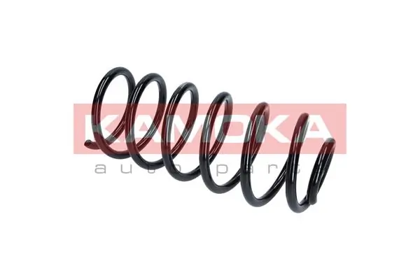 Suspension Spring 2110068