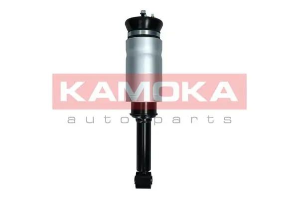 Air Suspension Strut 2070019