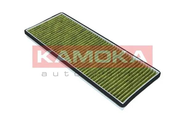 Filter, cabin air 6080006