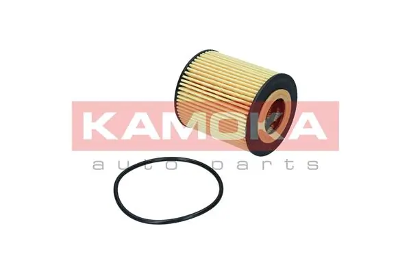 Oil Filter F121901