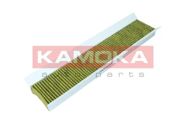 Filter, cabin air 6080019