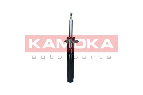 Shock Absorber 2001111