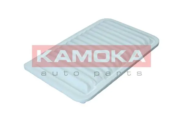 Air Filter F251501