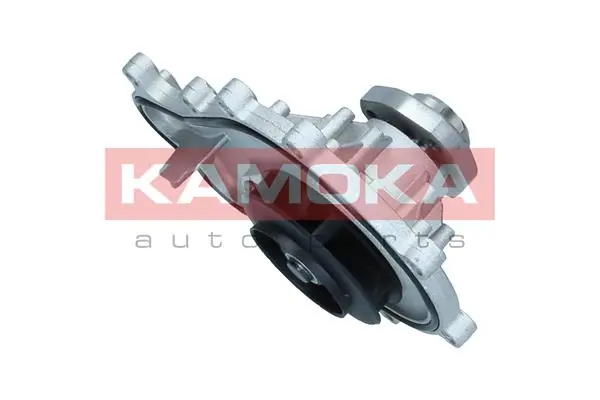 Water Pump, engine cooling T0317