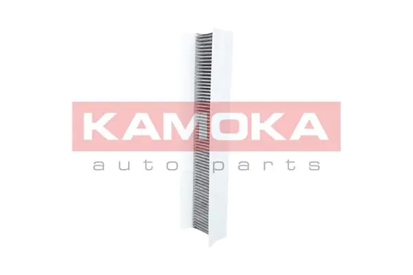 Filter, cabin air F503601