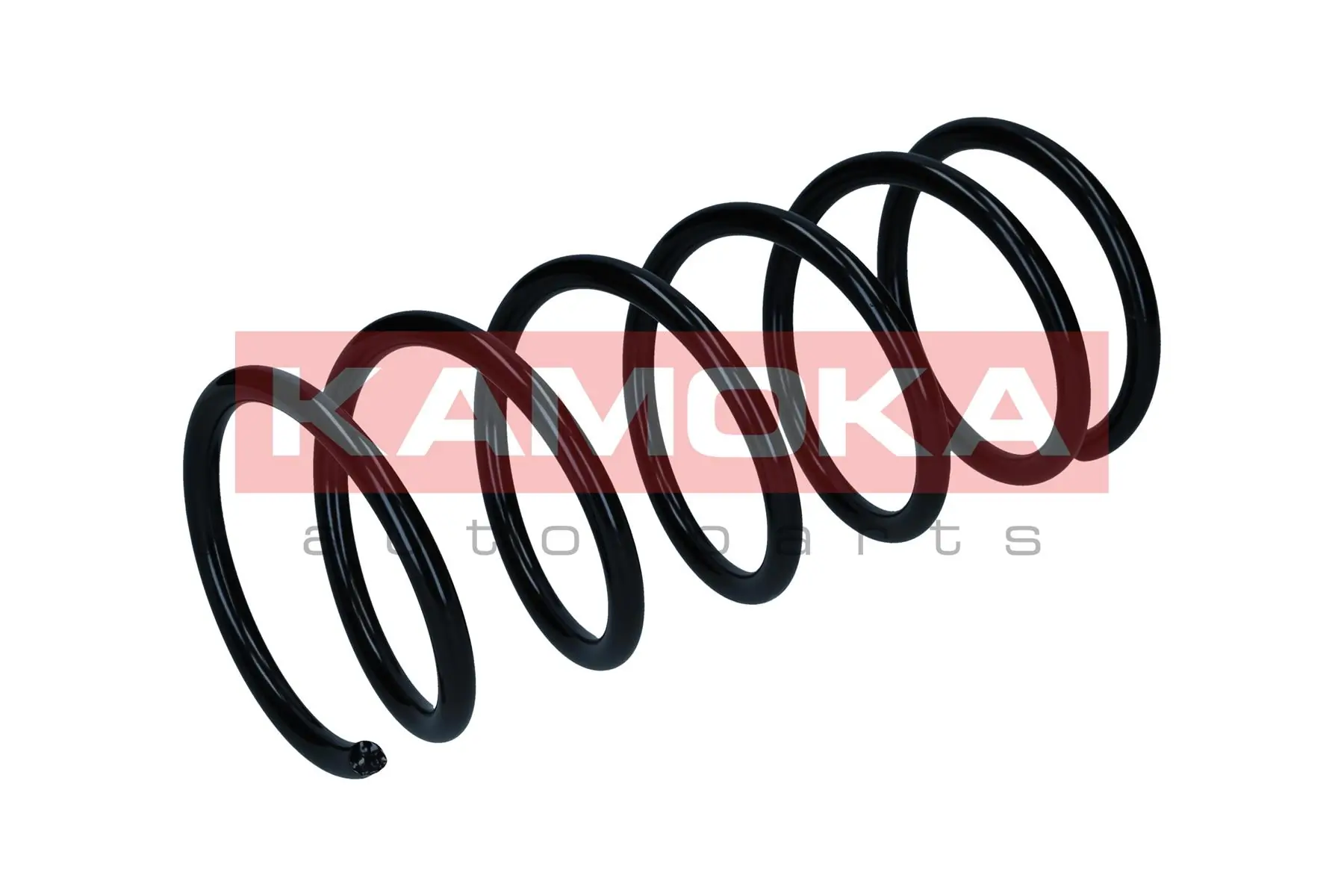 Suspension Spring 2110585