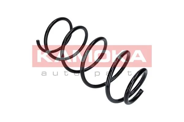 Suspension Spring 2110110