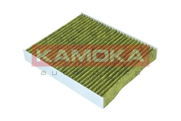Filter, cabin air 6080085