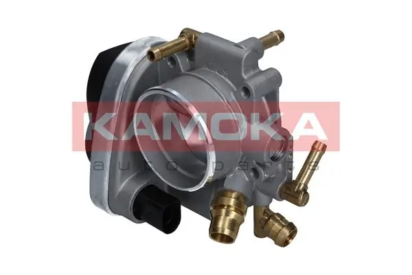 Throttle Body 112019