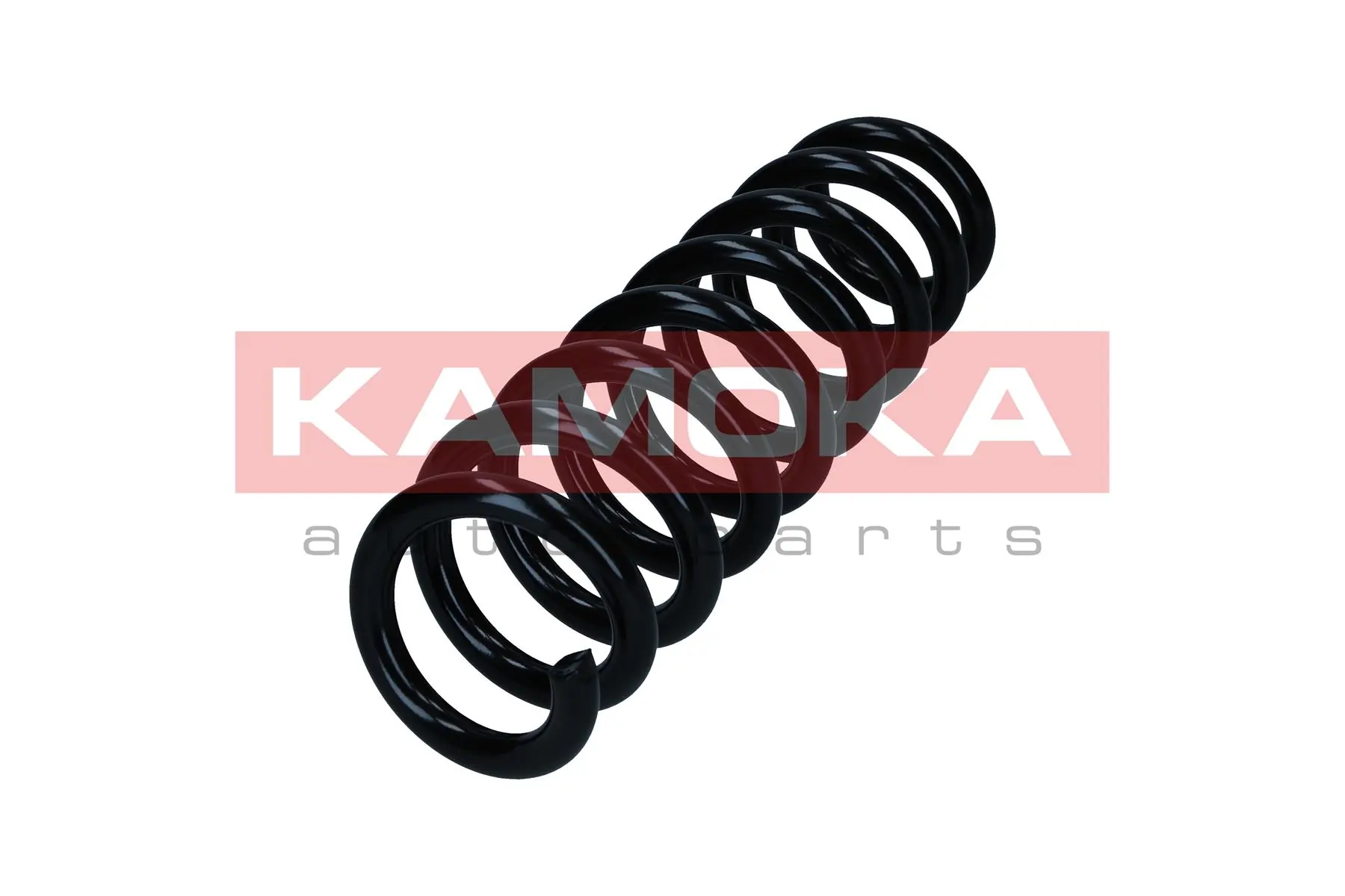 Suspension Spring 2120638