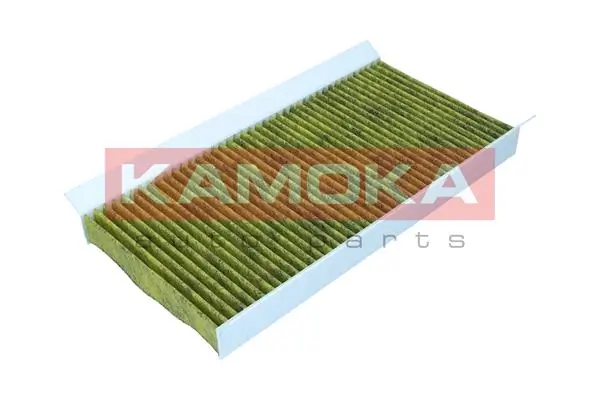 Filter, cabin air 6080005