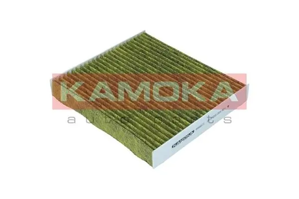 Filter, cabin air 6080072