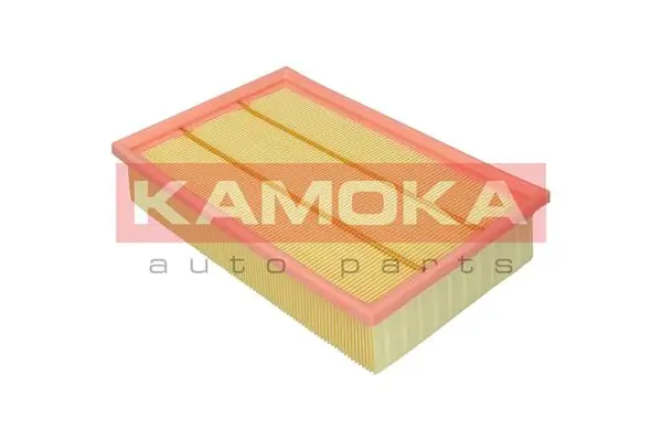 Air Filter F245201