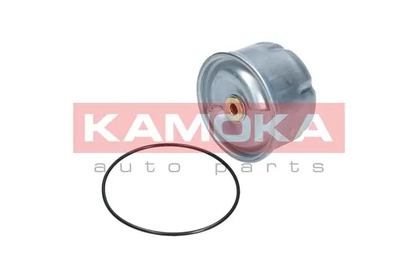 Oil Filter F115001