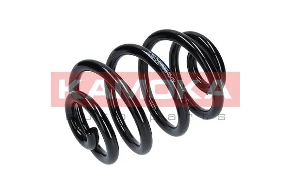 Suspension Spring 2120075