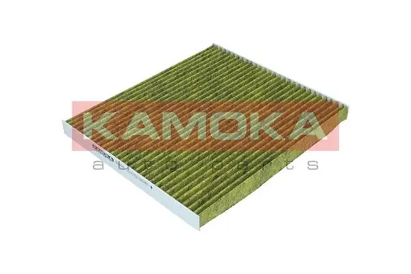 Filter, cabin air 6080086