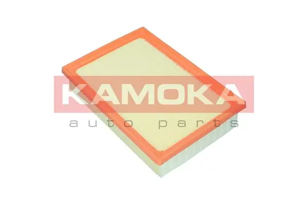 Filter udara F259801