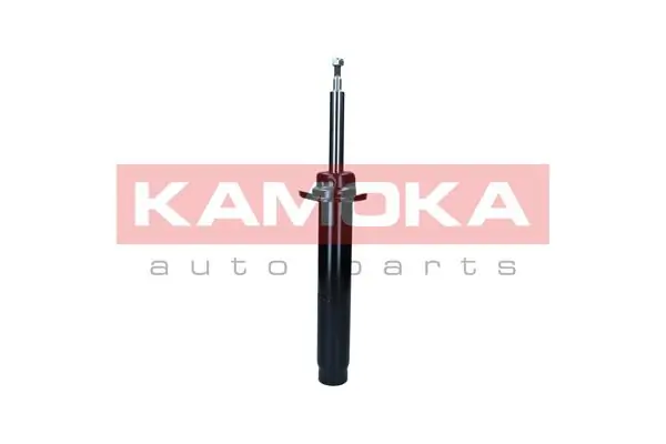 Shock Absorber 2001111