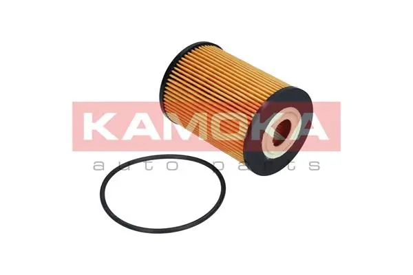 Oil Filter F110301