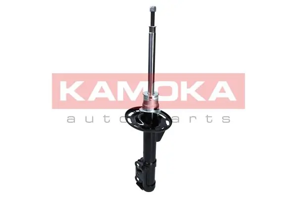 Shock Absorber 2000149
