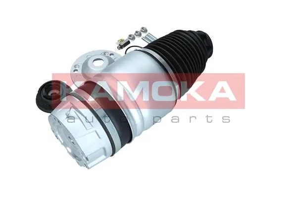 Air Spring, suspension 2079011